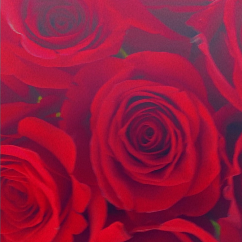 Meet your Posher, Julia🌺🌺